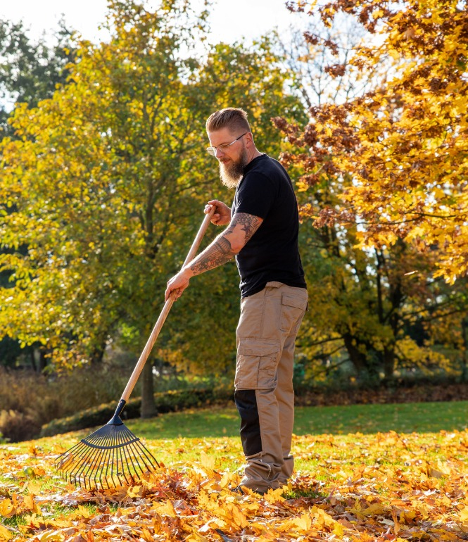 Gärtner harkt Herbstlaub vom Rasen im Garten, um ihn auf den Winter vorzubereiten.