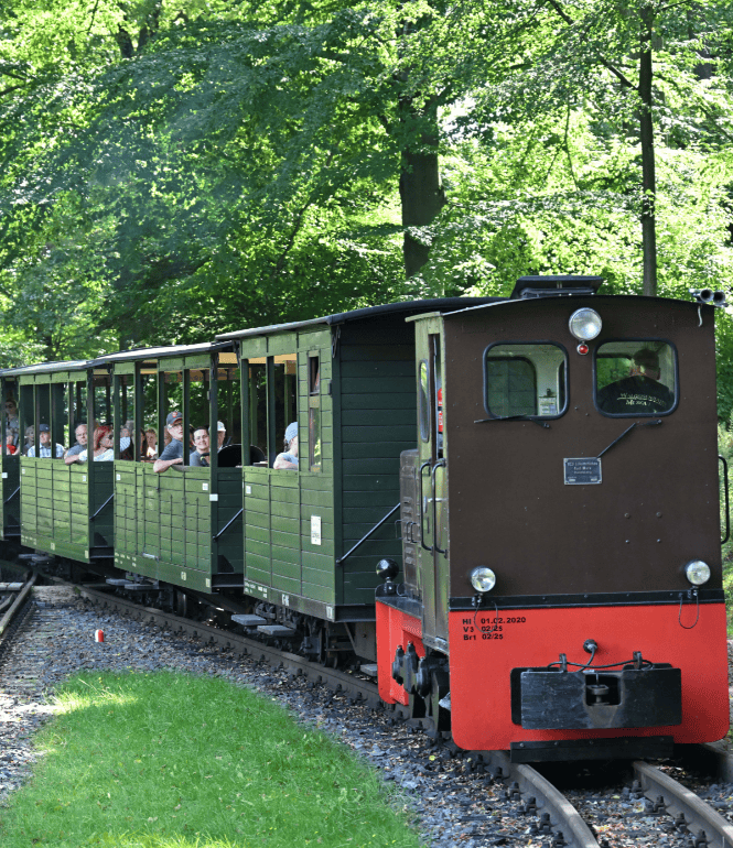 Im nordöstlichen Zipfel der Oberlausitz schnauft sie durch die Landschaft: die Waldeisenbahn Muskau. Unter den nostalgischen Dampfbahnrouten ist sie etwas ganz Besonderes