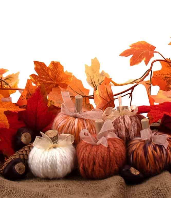 Dekorative Wollkürbisse mit Schleifen zwischen bunten Herbstblättern auf Juteuntergrund.