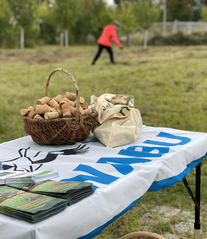 Korb mit gesammelten Weinkorken auf NABU-Tisch bei der Wiesenmahd