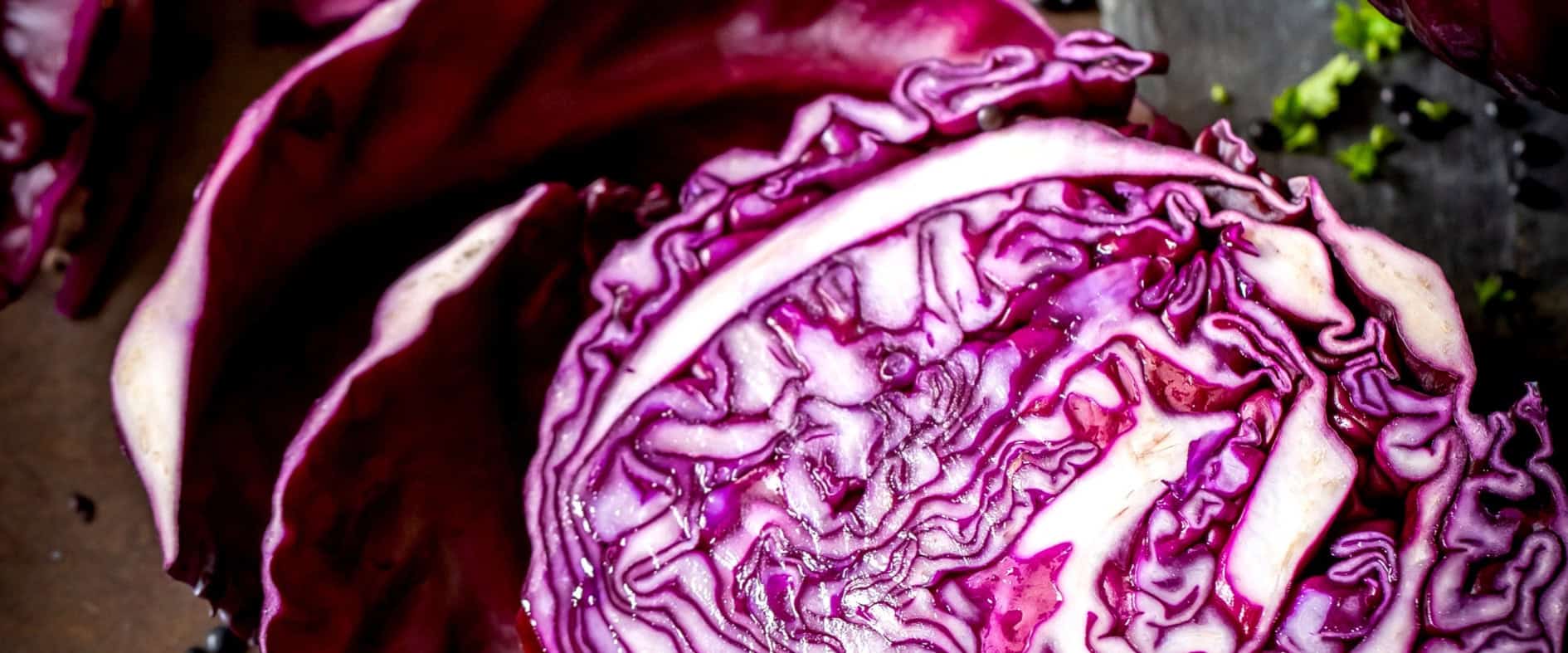 Aufgeschnittener Rotkohl mit violetten Blättern auf dunklem Untergrund – Wintergemüse, das sich gut lagern lässt und lange frisch bleibt.