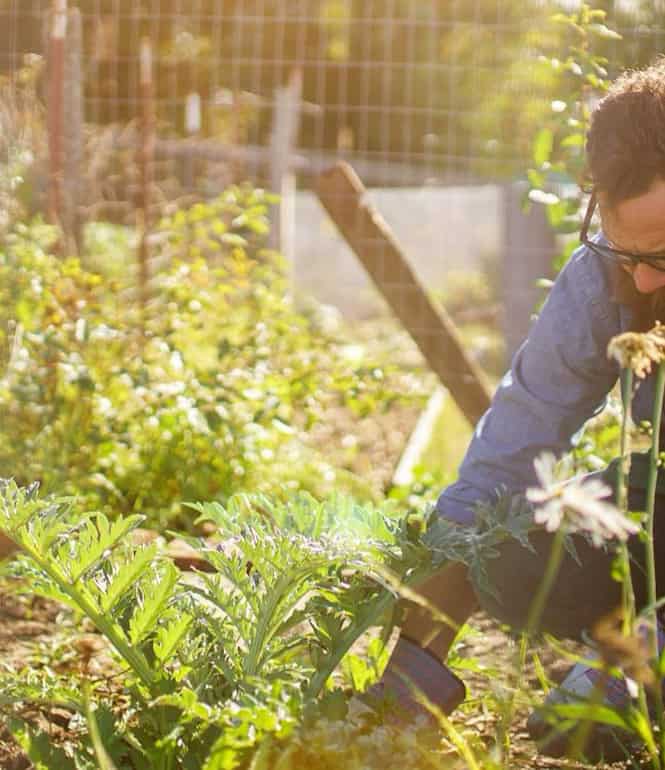 Gartenarbeit zum Start der Saison in Deutschland – Vorbereitung des Beetes für eine naturnahe und pflegeleichte Gartensaison.