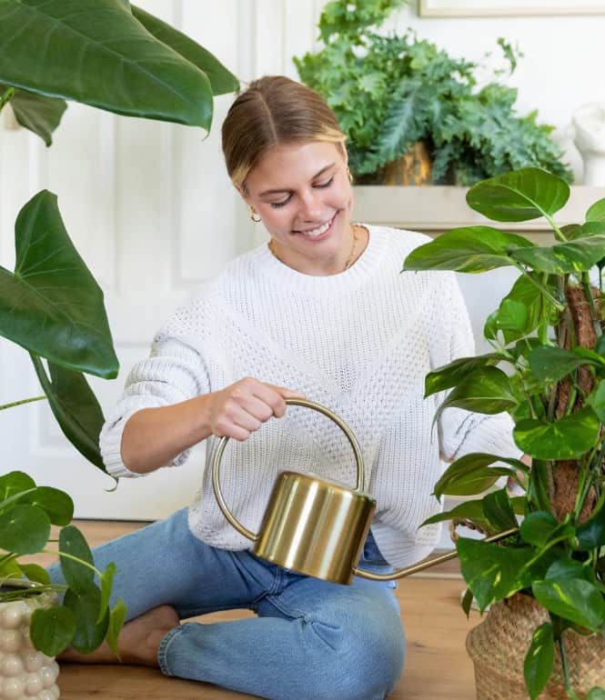 Junge Frau gießt Zimmerpflanzen im Wohnzimmer und pflegt grüne Pflanzen als Stressausgleich im Alltag