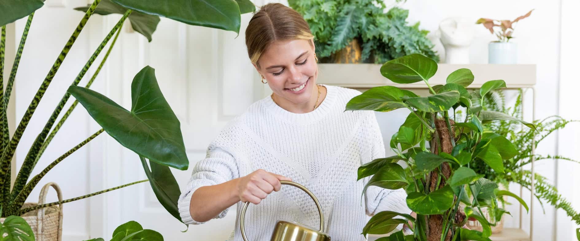 Junge Frau gießt Zimmerpflanzen im Wohnzimmer und pflegt grüne Pflanzen als Stressausgleich im Alltag