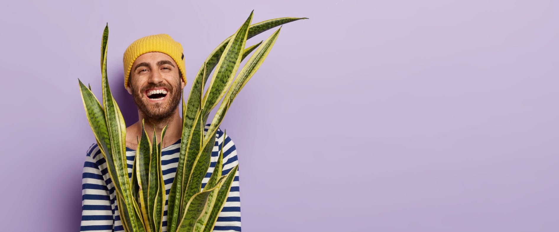 Lächelnder Mann mit gelber Mütze hält eine große, grüne Bogenhanf-Pflanze in einem orangefarbenen Topf.