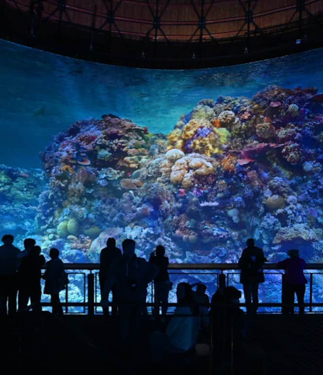 Foto zu GREAT BARRIER REEF im Panometer Dresden: Unterwasserwelt hautnah erleben