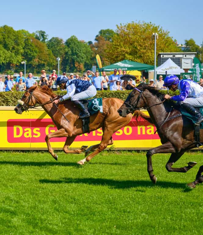 Galopprennen beim Sachsenlotto Cup mit zwei Jockeys auf der Zielgeraden vor Publikum