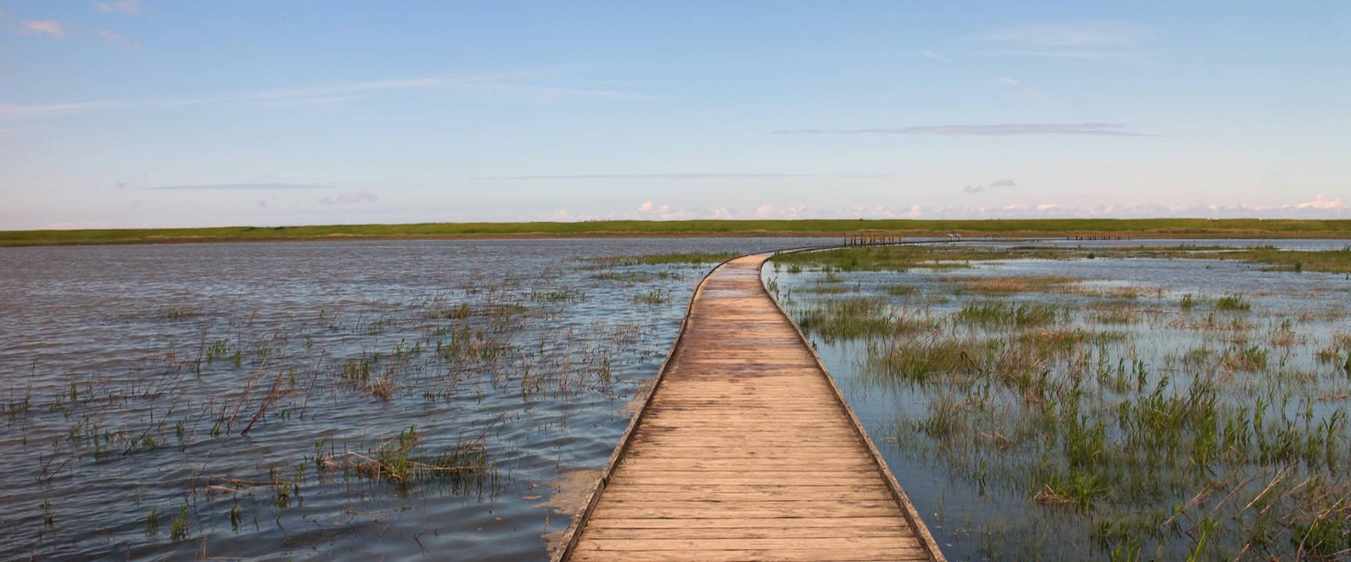 Holzsteg führt durch flaches Wasser und Salzwiesen im Langwarder Groden.
