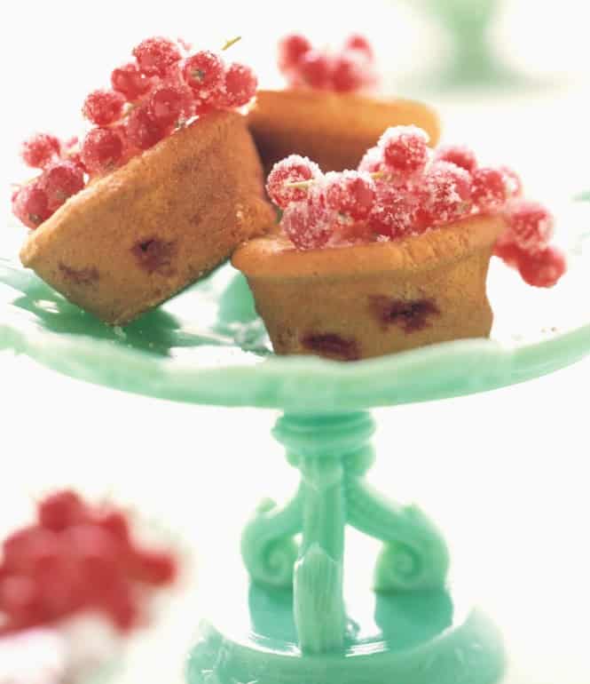 Johannisbeer-Törtchen auf einer grünen Etagere, verziert mit frischen, gezuckerten roten Johannisbeeren.