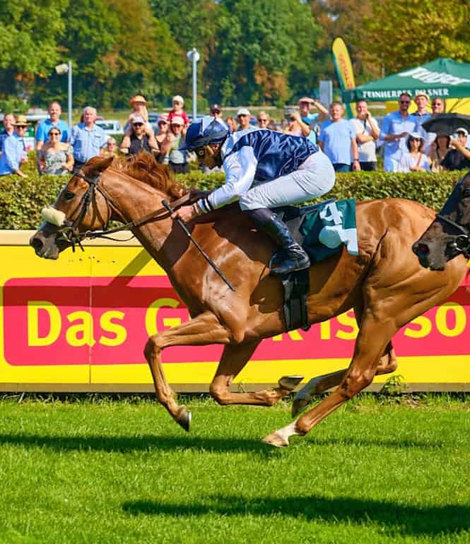 Partyrenntag: Galopprennen im Scheibenholz Leipzig mit zwei Jockeys auf der Zielgeraden vor Publikum