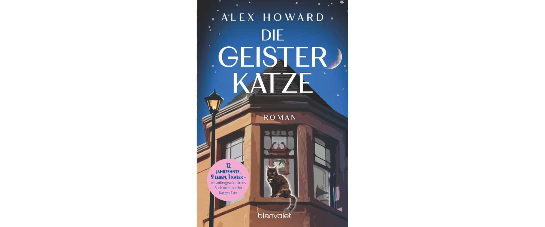 Buchcover des Gewinnspielbuchs „Die Geisterkatze": schwarze Katze auf einem Erkerfenster bei Nacht, Sternenhimmel mit Halbmond