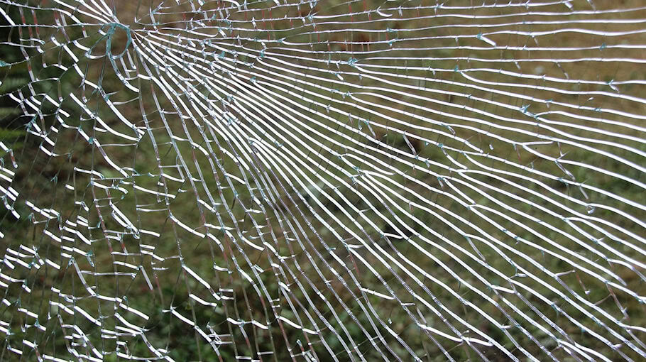 Einbrecher versuchten es über gekipptes Fenster