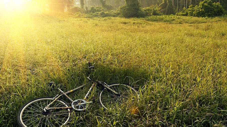 Fahrrad aus Keller gestohlen