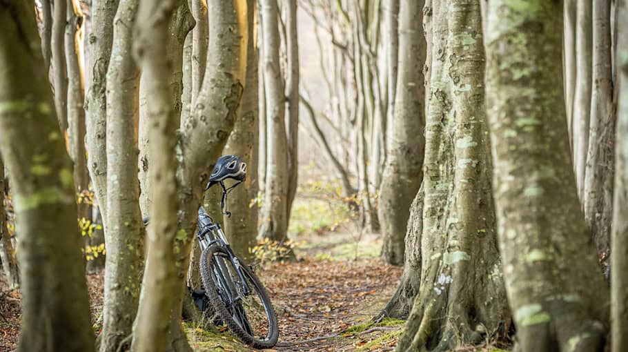 Mutmaßlichen Fahrraddieb gestoppt