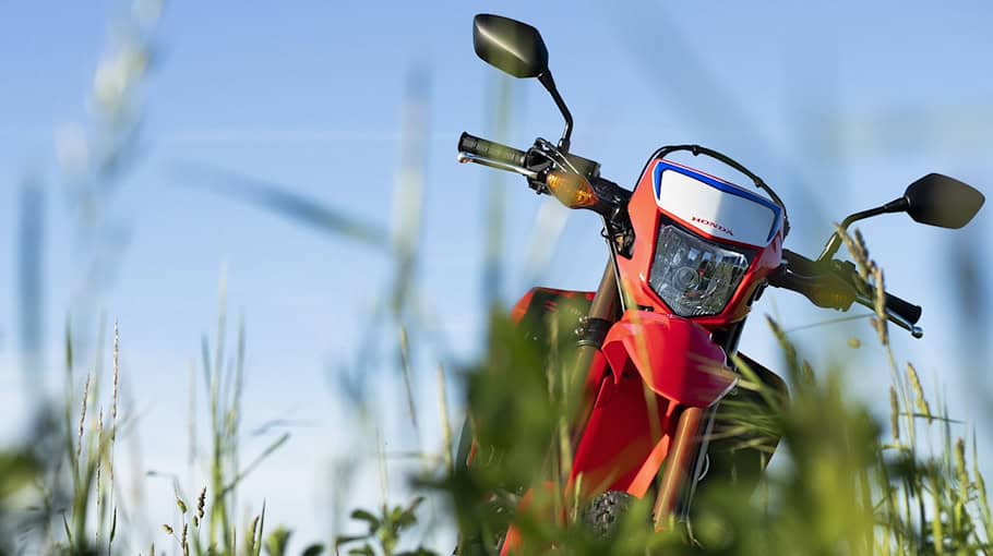 Motorradfahrer mit Reh kollidiert