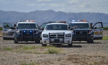 Ford stieß gegen Baum – Fahrer schwer verletzt