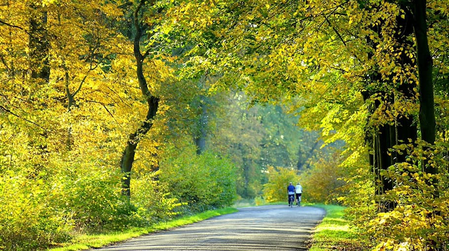 Radfahrer stürzte