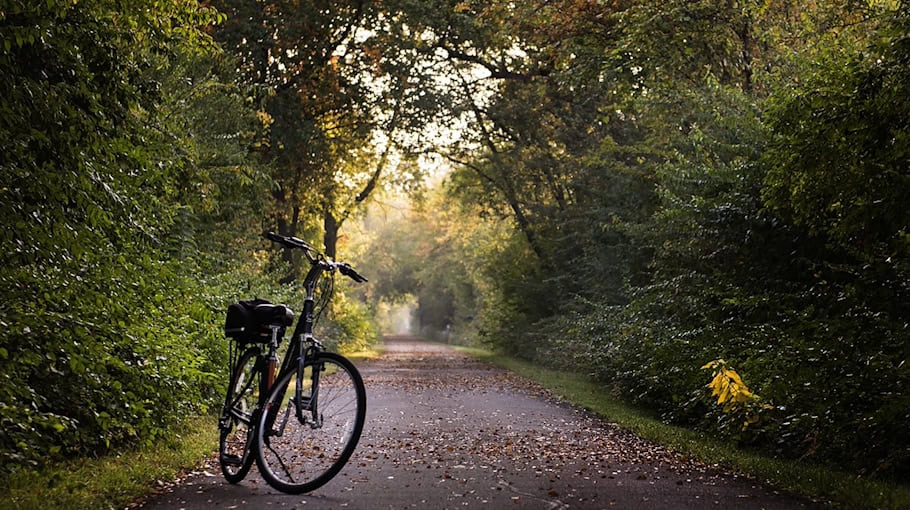 Fahrraddiebstahl auf der Karl-Liebknecht-Straße