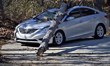 Blechschaden nach Mopedauto-Unfall in Treuen