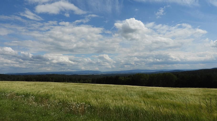 Fehlerhafte Polizeianrufe im Vogtland