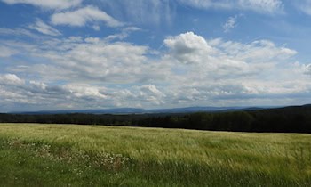 Fehlerhafte Polizeianrufe im Vogtland