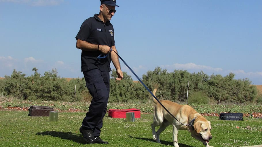 Polizeihund führt Beamte zu mutmaßlichem Autodieb