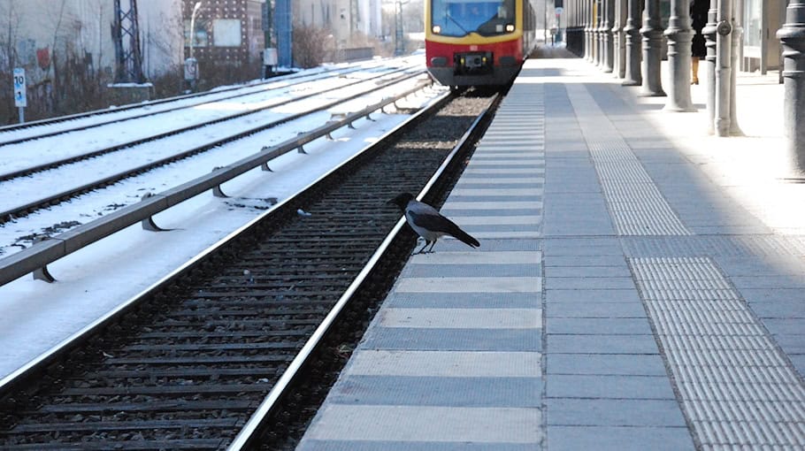 Jugendliche in S-Bahn beraubt