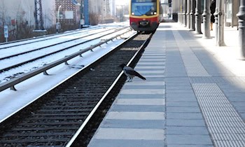 Jugendliche in S-Bahn beraubt