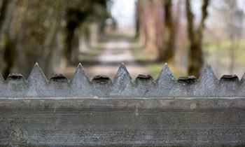 Kleinkraftrad Diebstahl in der Albertstraße – Polizei ermittelt