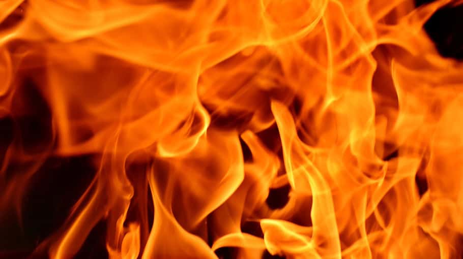 Brand beschädigt Koniferenhecke in Maukendorf