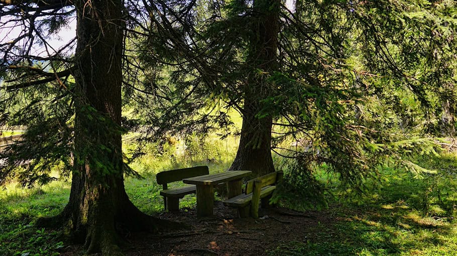 Diebstahl am Rastplatz Hansens Holz in der Nacht