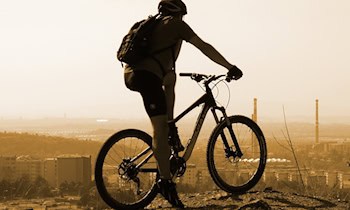 Diebstahl eines Mountainbikes in Zwickau