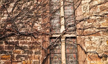 Fensterscheiben der Mehrzweckhalle beschädigt