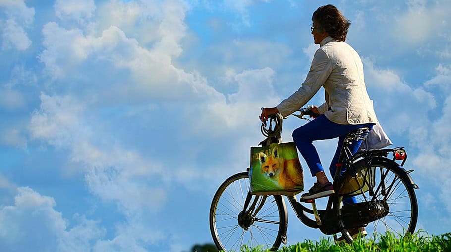 Fahrraddiebstahl in Meerane: Hinweise gesucht