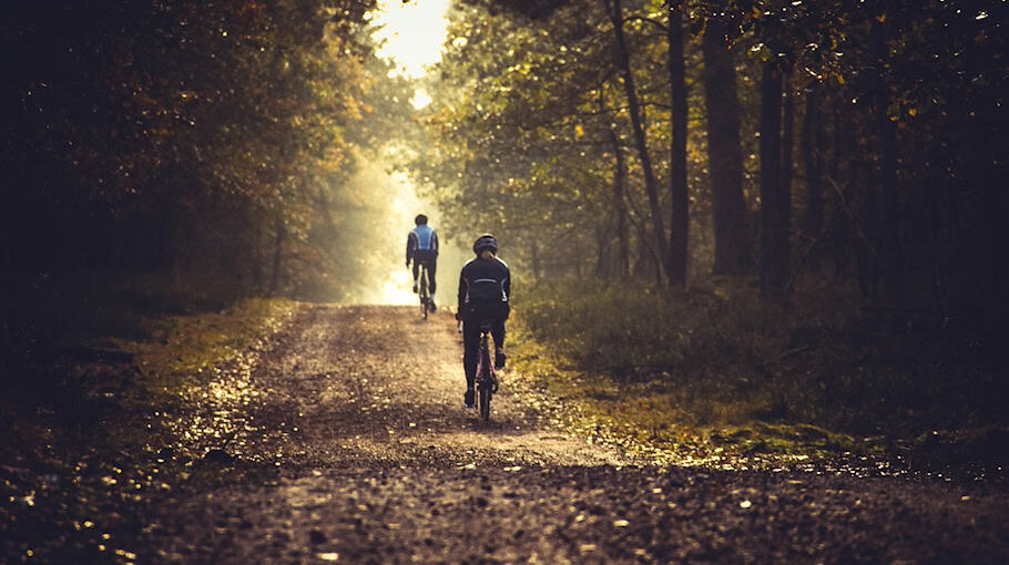 Unbekannte stehlen teure Mountainbikes in Görlitz