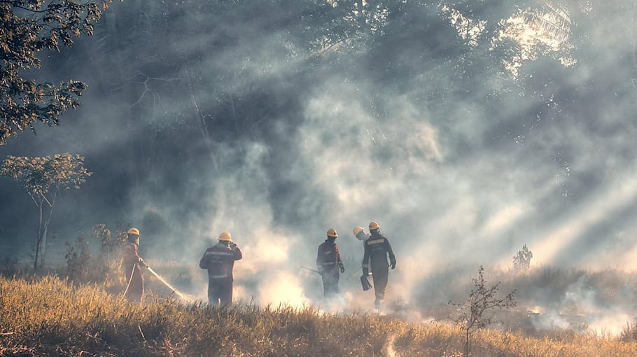 Einsatz der Feuerwehr bei Waldbrand in Rote Jahne