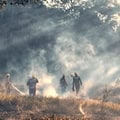 Einsatz der Feuerwehr bei Waldbrand in Rote Jahne