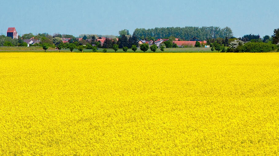 Vorfall an Landesbühnen Sachsen in Meißen