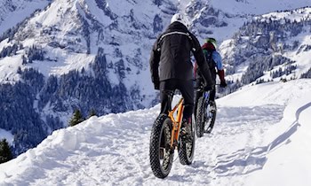 Mountainbike Diebstahl in Adorf – Hinweise gesucht