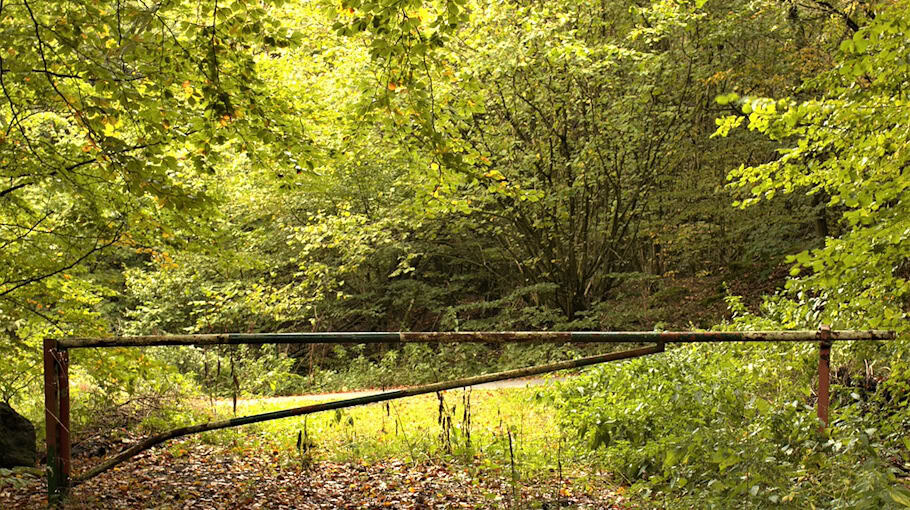 Schrankenanlage in Marienthal beschädigt