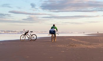 Leichter Verkehrsunfall eines Radfahrers in Zwickau