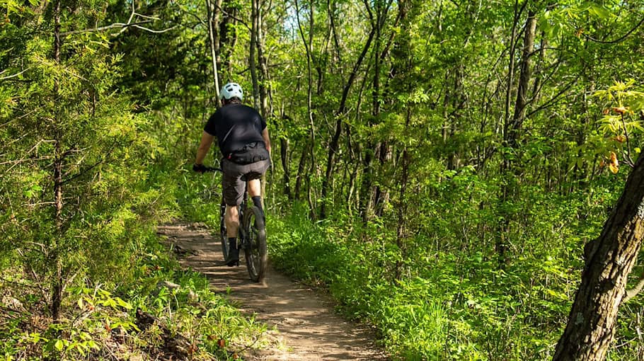 Diebstahl eines Cube-Mountainbikes in Oberrothenbach