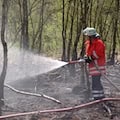 Brandermittlungen in einer Tiergarage in der Göltzschtalstraße