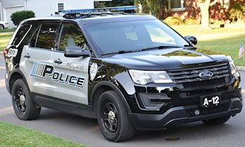 Mann verursacht Straftaten während Polizeikontrolle