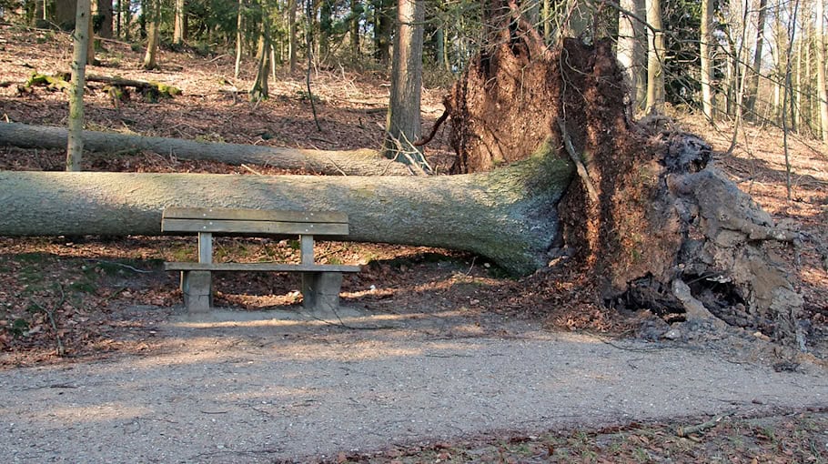 Unwetter verursacht Schäden und Verkehrsbehinderungen