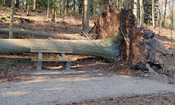 Unwetter verursacht Schäden und Verkehrsbehinderungen