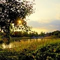 Mehrere Einbrüche in Firmen am Gerichtsberg