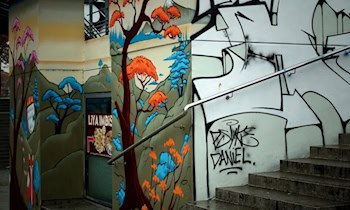 Großes Graffito an Pulsnitzer Straße entdeckt