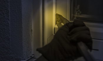 Einbruch in Geschäft auf Wilhelm-Franke-Straße