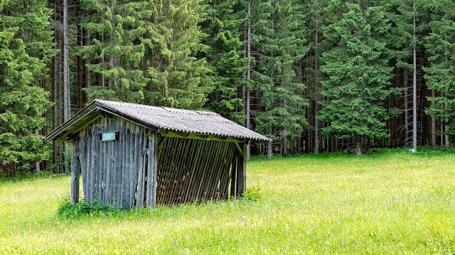 Diebstahl einer Futterraufe auf Wiese